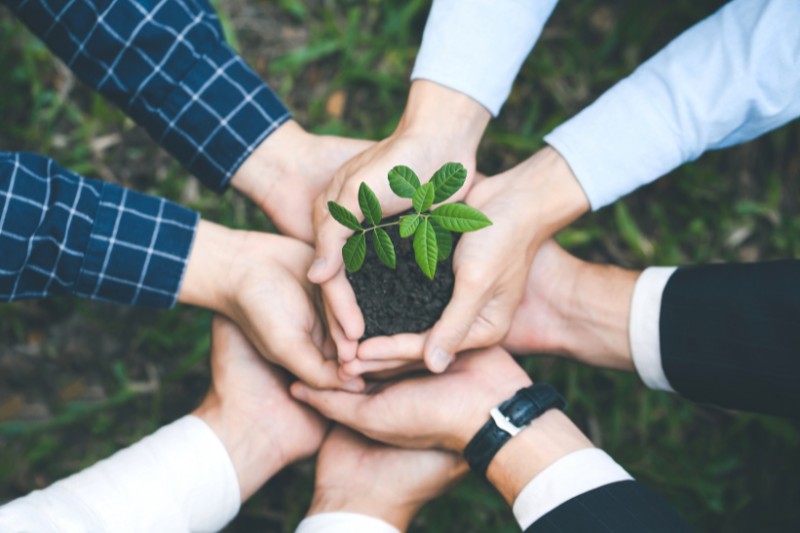 Environmental & Social Impact Studies
